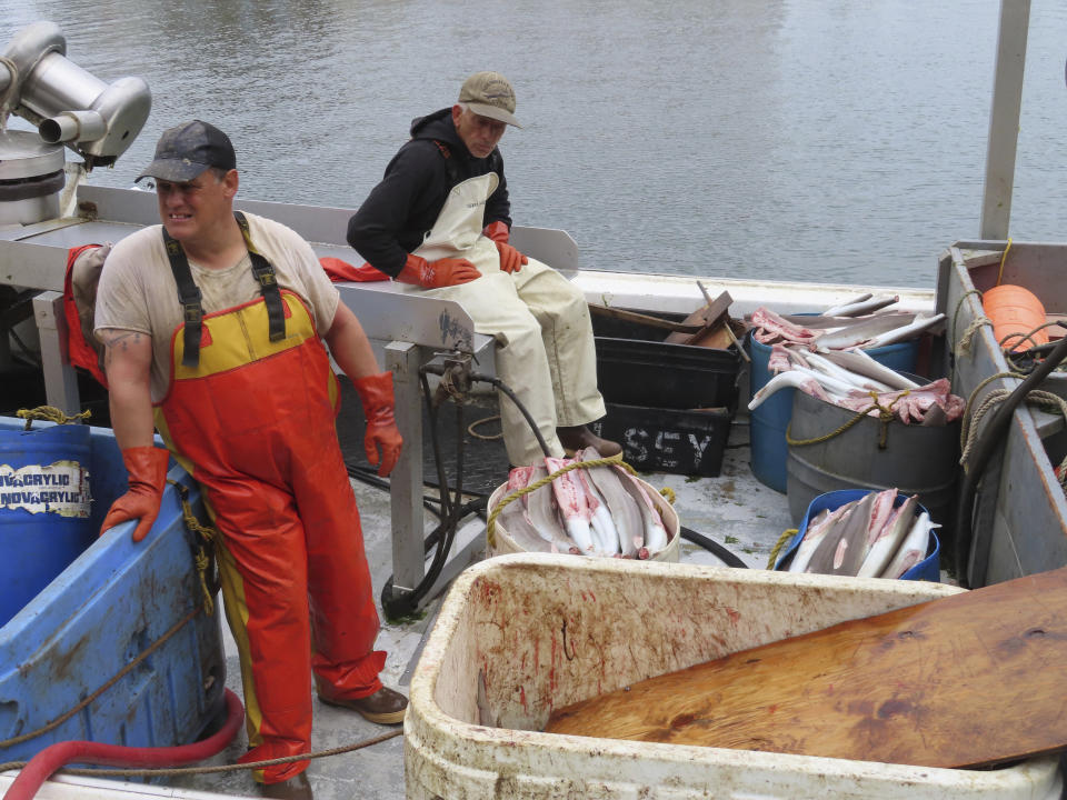 Crew members of a fishing boat wait to unload their catch in Point Pleasant Beach, N.J., on June 20, 2023. The commercial and recreational fishing industry has numerous concerns over offshore wind projects. The wind industry says it has tried to address those concerns, and will pay compensation for those that can't be avoided. (AP Photo/Wayne Parry)