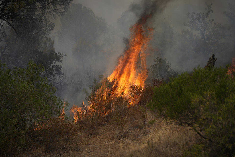 A fire burns in the forest near Le Luc, southern France, Tuesday, Aug. 17, 2021. Thousands of people were evacuated from homes and vacation spots near the French Riviera as firefighters battled a fire racing through surrounding forests Tuesday, the latest of several wildfires that have swept the Mediterranean region.(AP Photo/Daniel Cole)