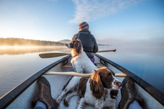 Early morning boat trip