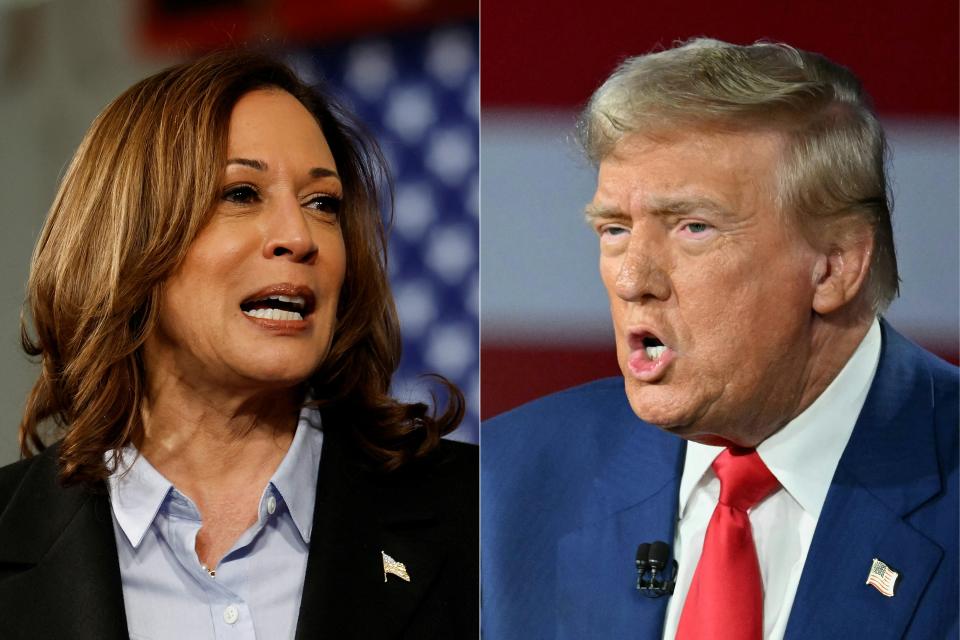 Trump is under pressure to debate Harris again, reports say (AFP via Getty Images)