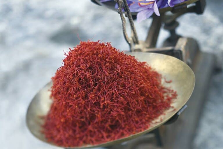 Hay que extraer a mano, con la máxima delicadeza posible, las tres hebras de color rojo oscuro de unas 160.000 flores para obtener un kilo de azafrán