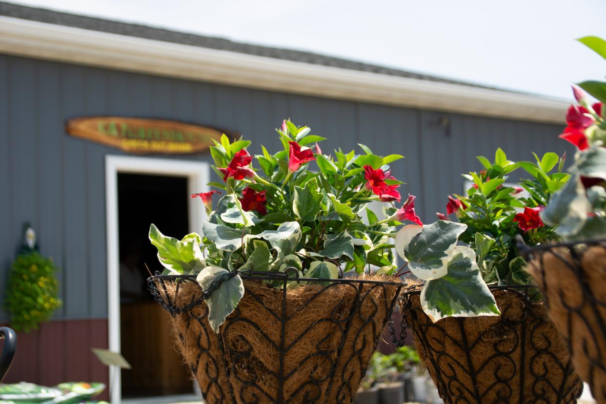 Hanging flower baskets, seen here on May 19, 2022, are popular items at K&T's Greenhouses in Freeport.