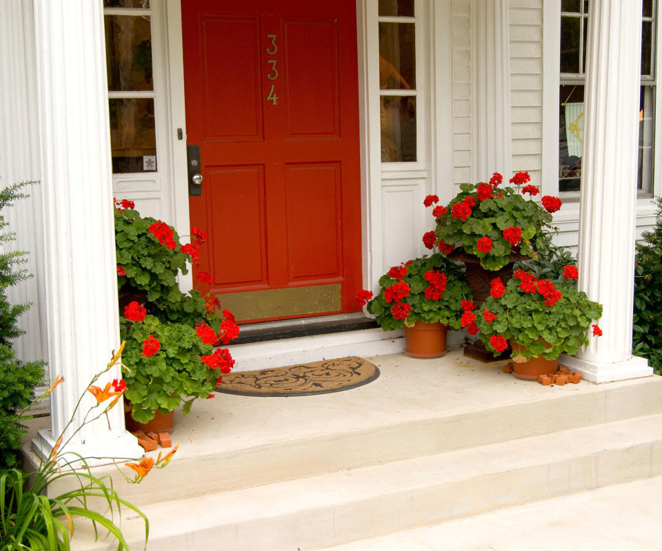 red geraniums  and red front door