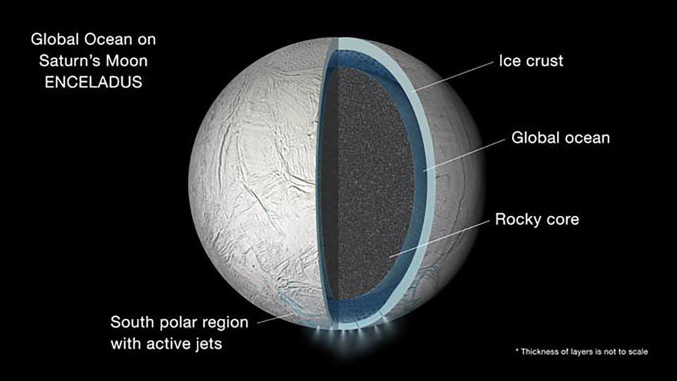 Saturn's moon Enceladus could support species similar to Earth