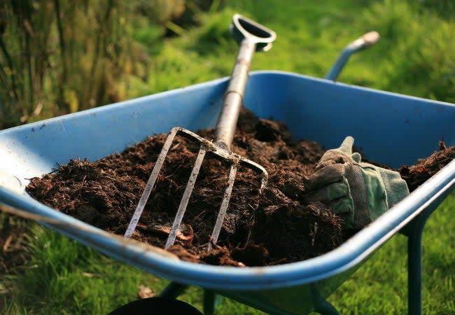 8 Top Tips for Pulling Weeds