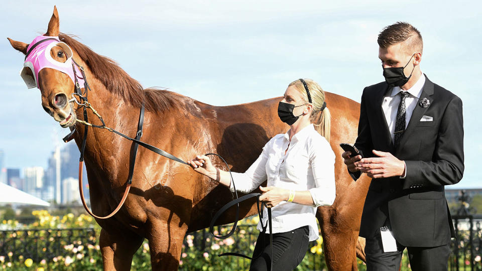 Jamie Kah, pictured here strapping Bless Her at Victoria Derby Day.