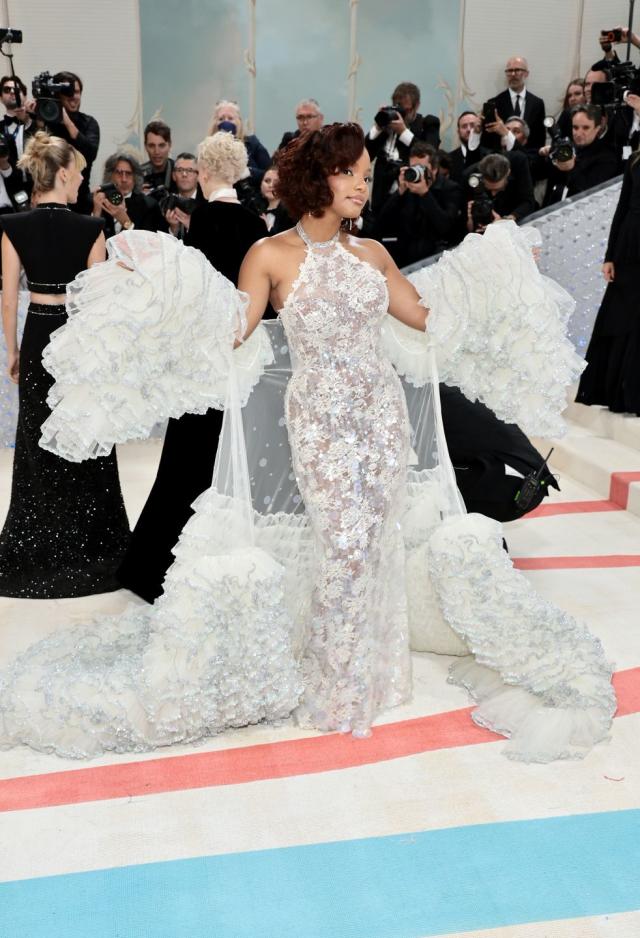 Donna Karan and Calvin Klein, Get a Load of All the Glamour on the Met  Gala Red Carpet!