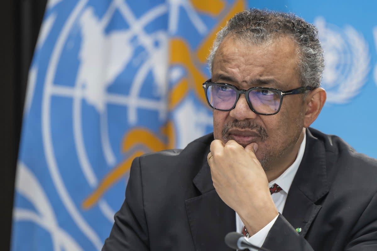 Tedros Adhanom Ghebreyesus has urged nation states to prepare for the next emergency  (AP)