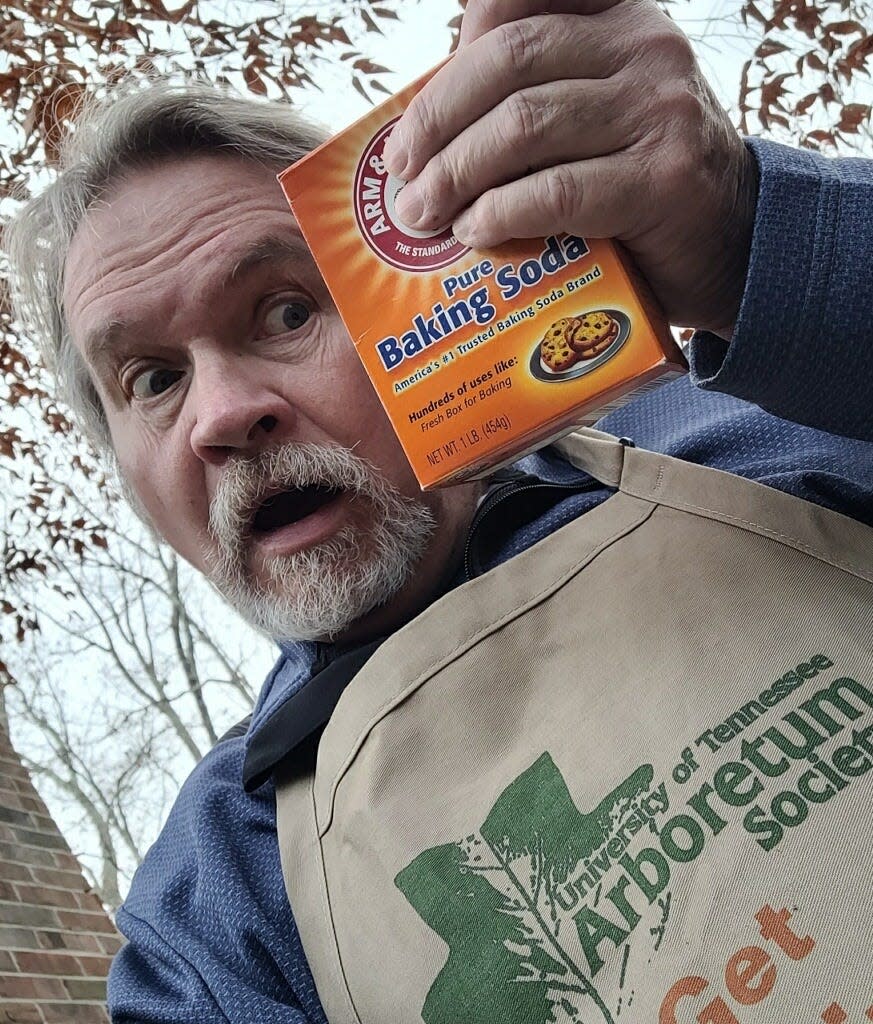 Local naturalist Stephen Lyn Bales holds a box of baking soda that has “Useful Birds of America” trading cards inserted in it.