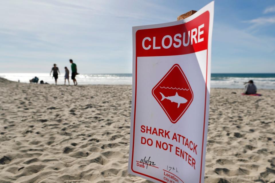A closure sign is posted off Del Mar beach, north of San Diego, after a 50-year-old woman was bitten by a shark in the water prompting a beach closure of at least 48 hours in the area, city lifeguard officials said on Friday, Nov. 4, 2022 (2022 The San Diego Union-Tribune)