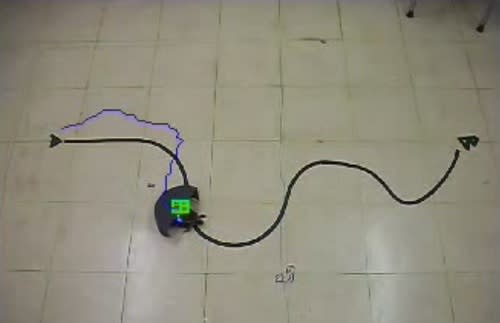 This video still shows a red-eared slider being guided along a set path. The half-cylinder device on the animal's back swings around to simulate obstacles, causing it to turn.