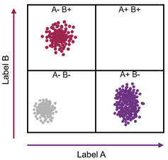 <span class="caption">Illustration of cell identification process.</span> <span class="attribution"><span class="source">Manon Chauvin via Wikimedia, modified</span>, <span class="license">Author provided</span></span>