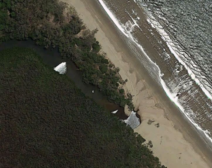 This is the entry to where Kewarra Beach and Deep Creek meet, the place where Snappy is regularly seen. Photo: Google