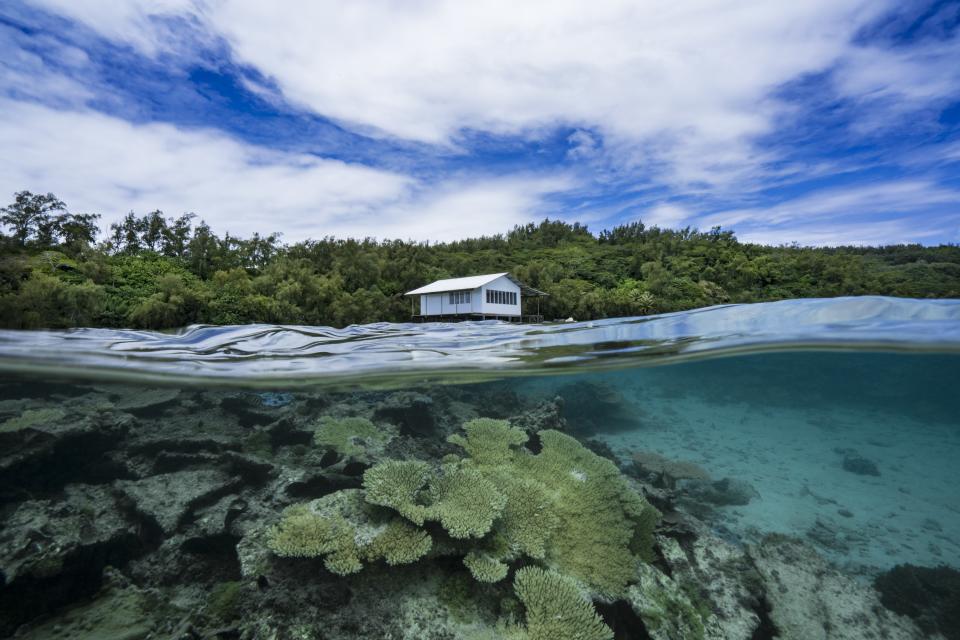 <h1 class="title">Black Pearl Farming In French Polynesia : Illustration</h1><cite class="credit">Photo by Alexis Rosenfeld. Image courtesy of Getty.</cite>