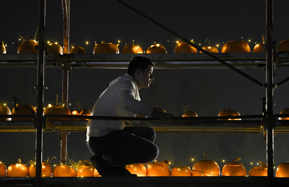 In this Saturday, Oct. 26, 2019 photo a staff member arranges carved pumpkins on a scaffolding at The Halloween Pumpkin Fest in Bucharest, Romania. The Halloween Pumpkin Fest, "the biggest pumpkin carving event in Europe", according to organizers, took place over the weekend in a popular park in the Romanian capital with thousands trying their hand at carving more than 30 thousand pumpkins ahead of Halloween.(AP Photo/Andreea Alexandru)
