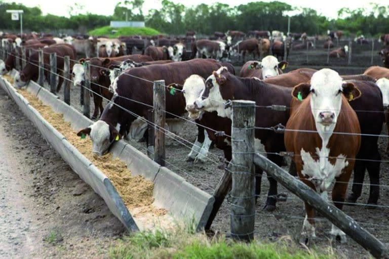 En ganader&#xed;a, se contempla la venta forzosa de hacienda, tanto bovina, caprina, ovina o porcina, pero los requisitos son muy estrictos