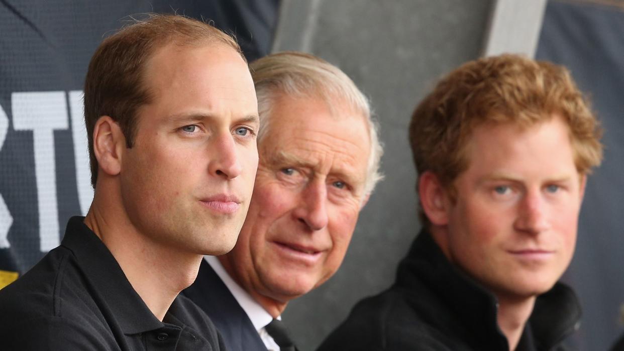 Charles, William and Harry at 2014 Invictus Games