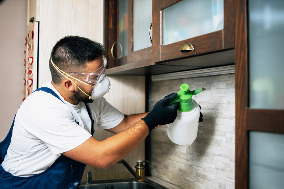 Professional exterminator in protective workwear spraying pesticide in apartment kitchen.