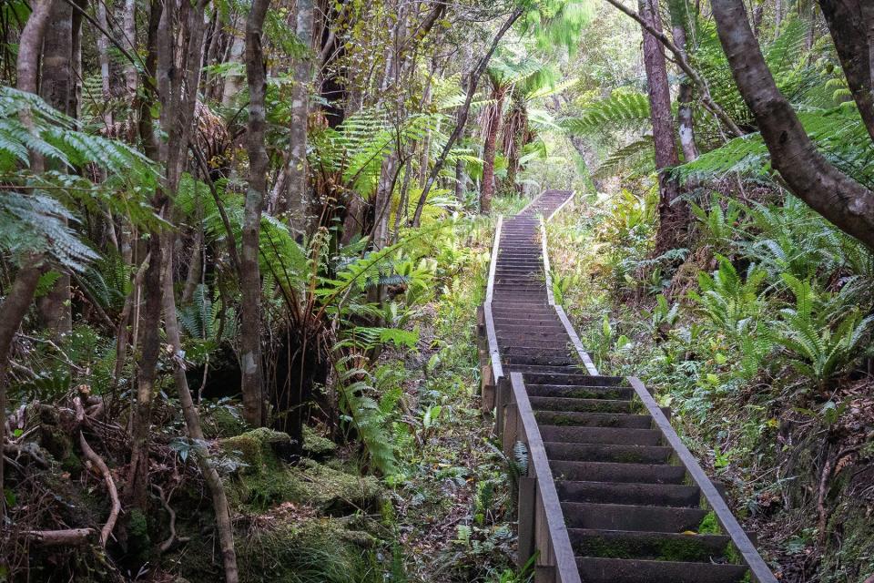 Shot made on Stewart Island (Rakiura), New Zealand