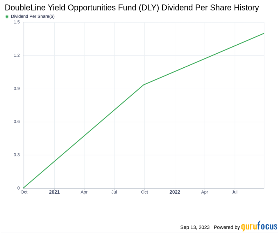 Delving into DoubleLine Yield Opportunities Fund's Dividend Performance