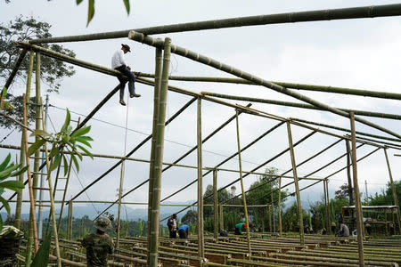 FARC members build an auditorium in a camp near the transitional zone of Pueblo Nuevo, Colombia, February 4, 2017. REUTERS/Federico Rios