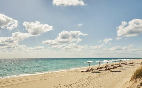 Four Seasons Miami Surf Club Beach