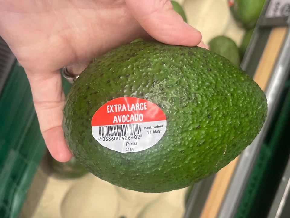 hand holding an extra large avocado at aldi