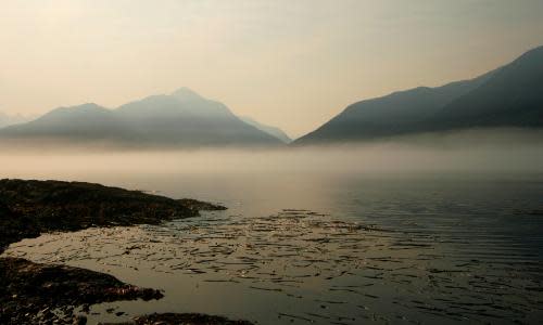 Johnstone strait, Vancouver island