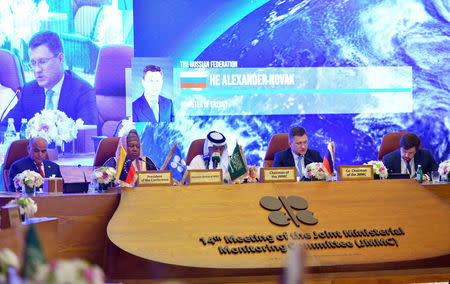 Russian Energy Minister Alexander Novak speaks during the OPEC 14th Meeting of the Joint Ministerial Monitoring Committee in Jeddah, Saudi Arabia, May 19, 2019. REUTERS/Waleed Ali