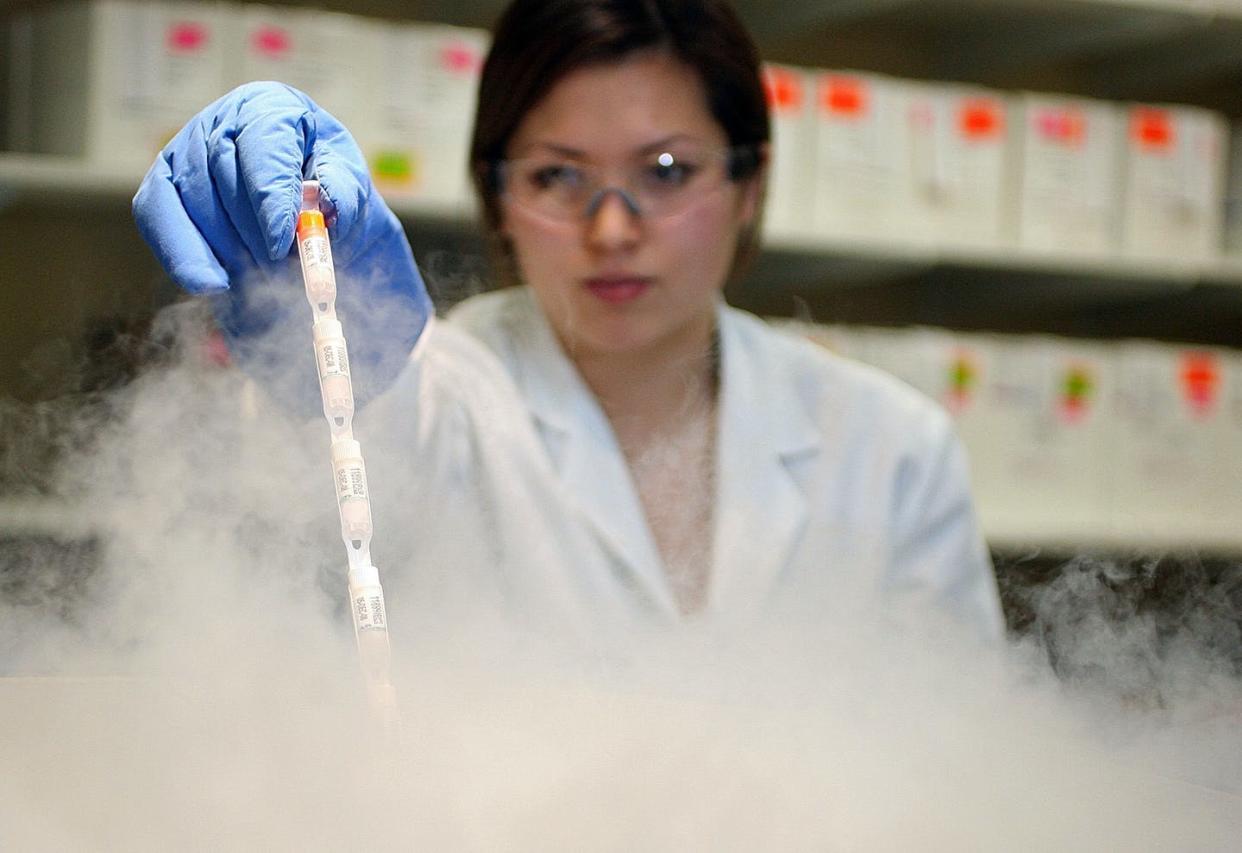 <span class="caption">Freezing and storing sperm vials has proved easier than regulating artificial insemination.</span> <span class="attribution"><a class="link " href="https://www.gettyimages.com/detail/news-photo/lab-technician-jessica-kenyon-puts-sperm-vials-into-liquid-news-photo/1290396268" rel="nofollow noopener" target="_blank" data-ylk="slk:MediaNews Group/Boston Herald via Getty Images;elm:context_link;itc:0;sec:content-canvas">MediaNews Group/Boston Herald via Getty Images</a></span>