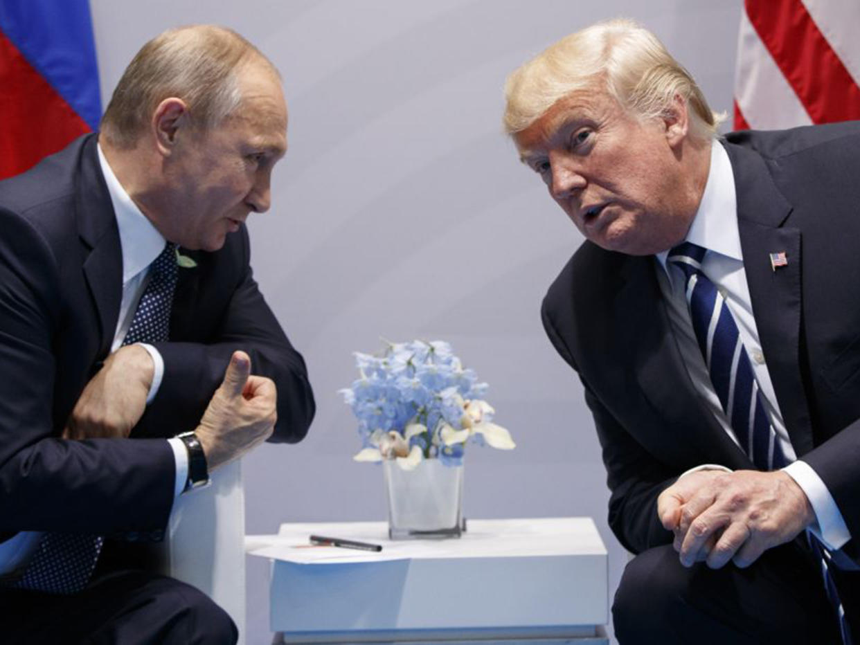 The President with Vladimir Putin at the G20 Summit in Hamburg: AP