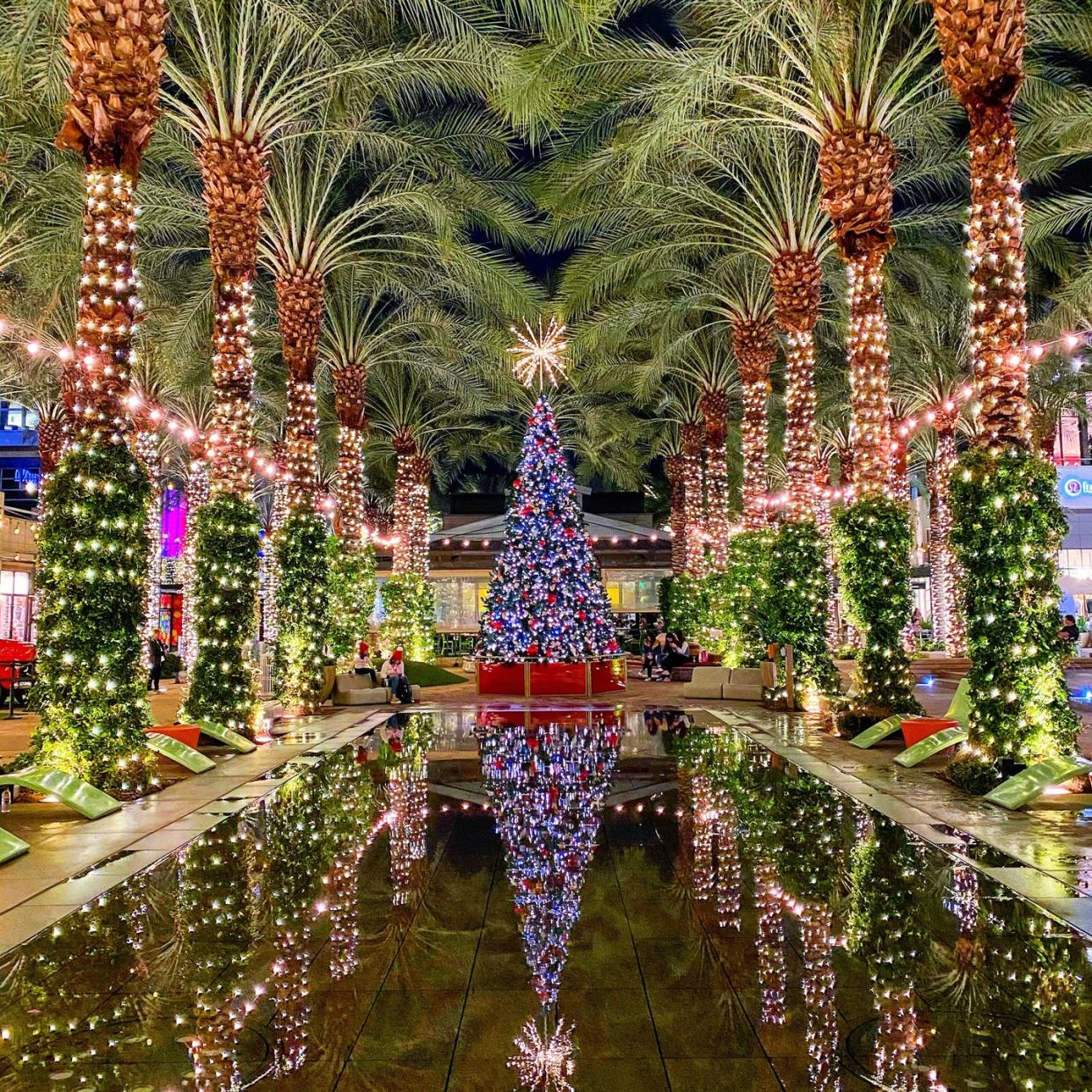 scottsdale arizona at christmas