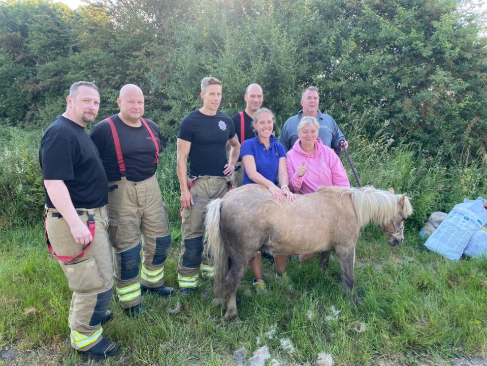 York Press: Bumble el pony ha sido rescatado por los bomberos de Acomb y Tadcaster