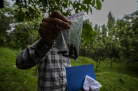 An Investigating officer shows empty bullet cartridges collected by the site of attack on Sunil Kumar, a Kashmiri Hindu man locally known as Pandit, at Chotigam village, some 62 kilometers south of Srinagar, Indian controlled Kashmir, Tuesday, Aug. 16, 2022. Pandit was shot dead by suspected rebels at an apple orchard on Tuesday morning, while his brother was injured in the attack, officials said. (AP Photo/Mukhtar Khan)