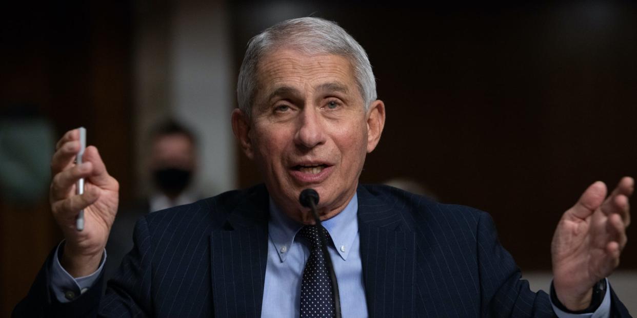 anthony fauci