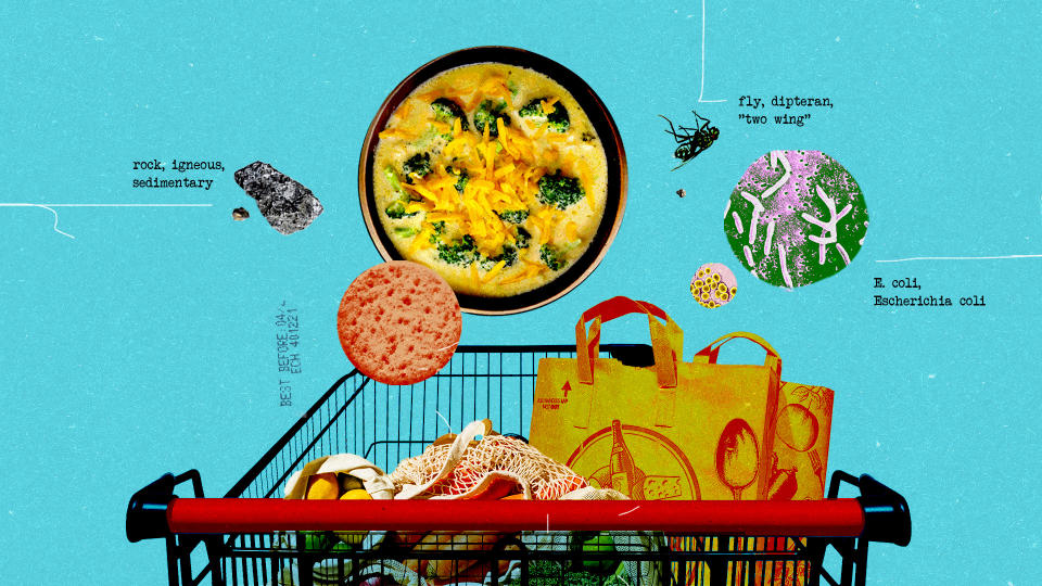 A photo illustration shows a shopping cart with a Trader Joe’s grocery bag in it. Floating above are a cracker, a rock, a bowl of broccoli cheddar soup, a fly and bacteria.