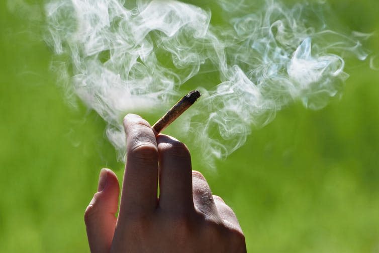 <span class="caption">High potency users were also more likely to have problems from use.</span> <span class="attribution"><a class="link " href="https://www.shutterstock.com/image-photo/marijuana-joint-hand-drugs-concept-650375488" rel="nofollow noopener" target="_blank" data-ylk="slk:Tunatura/ Shutterstock;elm:context_link;itc:0;sec:content-canvas">Tunatura/ Shutterstock</a></span>