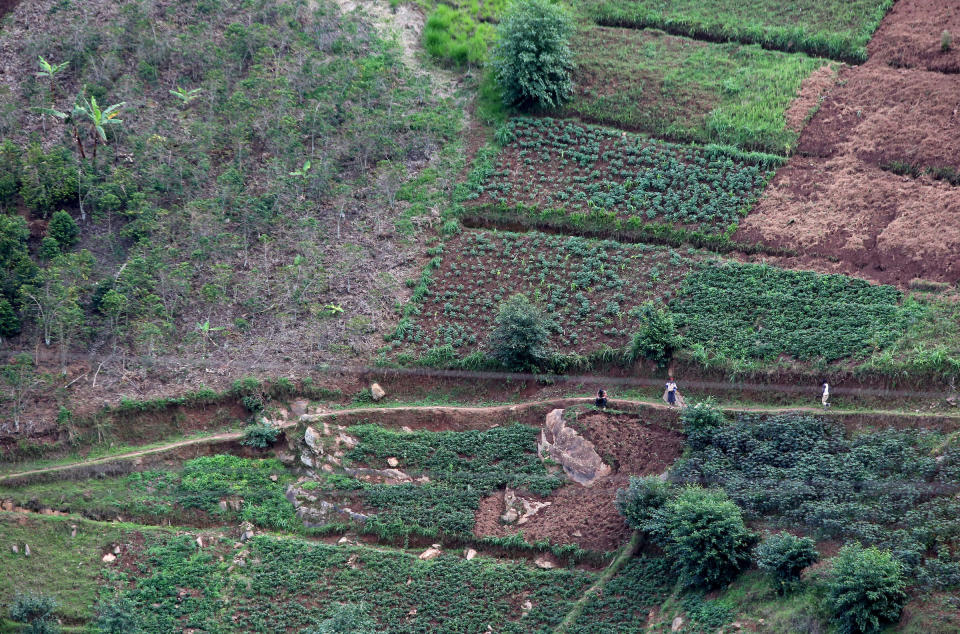 Terrace farming, which helps decrease erosion and surface runoff, is seen on November 15, 2017 in the Rulindo District, Rwanda. Wood gathering causes much of the deforestation and soil erosion in the country. (Photograph by Yana Paskova)  