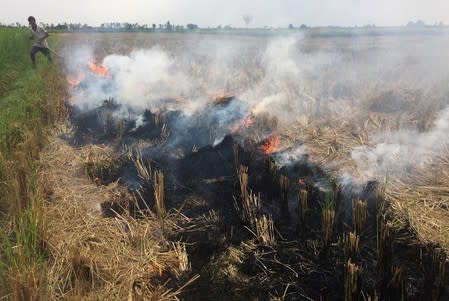 A man burns paddy waste stubble in a field in Karnal district