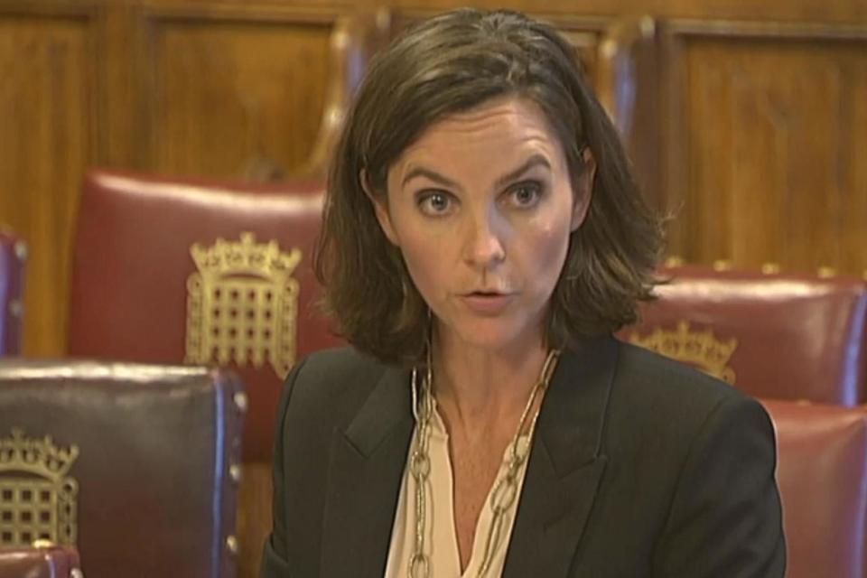 A file image of Alex Mahon, CEO of Channel 4, at a House of Commons committee meeting earlier this year. Ms Mahon said the broadcaster's new menopause policy will 'normalise a taboo subject': PA