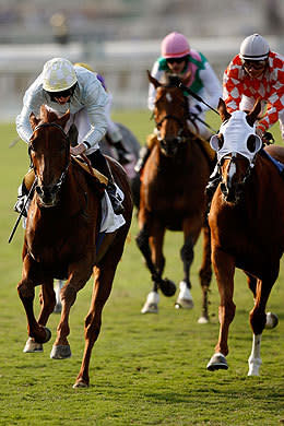 Smiliar to the Breeders' Cup Classic, the Turf version has the horses running on turf over 2400 metres. Runners battle it out for a $2.92 million pot of gold.