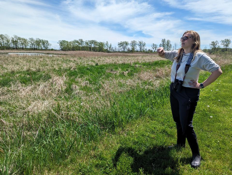 Sandusky County Park District Interpretive Naturalist Sarah Chong showed off Decoy Marsh park, for an exclusive tour, the day before it officially opened for the season. She points out the ponds, dikes and channel system that the Park District can partially regulate.
