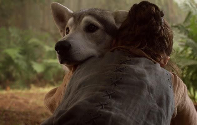 One of the show's saddest moments was when Arya had to say goodbye to Nymeria in an effort to save her life. Sniff! Source: HBO