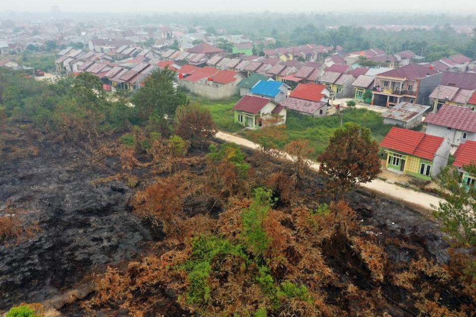 This aerial picture shows smouldering peatland (left) after a fire swept through the area and stopped moving further due to a road in Kampar, Riau province September 13, 2019. — AFP pic