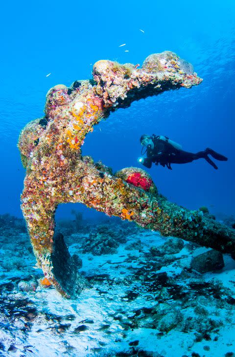 diver over old spanish anchor incrusted with sponges