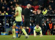 Premier League - Crystal Palace v AFC Bournemouth