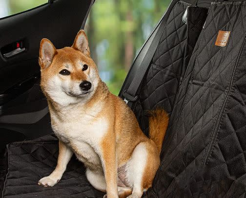 For four-legged friends, it’s worth having a waterproof backseat cover on hand