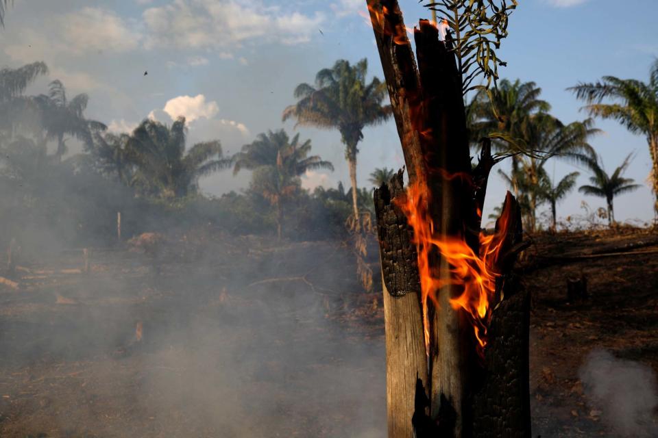 A record number of fires have been recorded in the Amazon this year. (REUTERS)