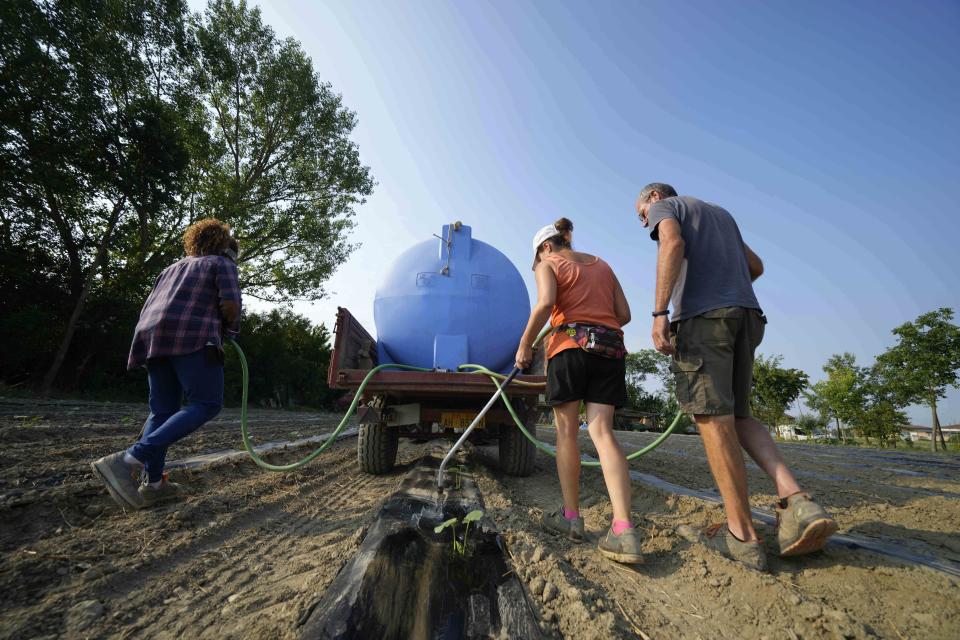 Farmers irrigate a pumpkin patch using a water lifting pump near the Po river in Guastalla, Italy, Wednesday, June 15, 2022. The drying up of the river is jeopardizing drinking water in Italy's densely populated and highly industrialized districts and threatening irrigation in the most intensively farmed part of the country. (AP Photo/Luca Bruno)