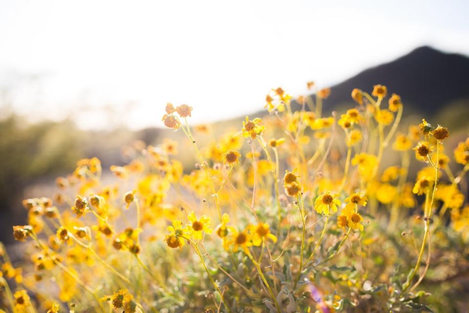 Astronomical spring and meteorological spring fall on different days